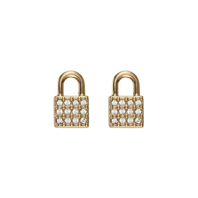 Σκουλαρικια DKNY Padlock Stud 5520120