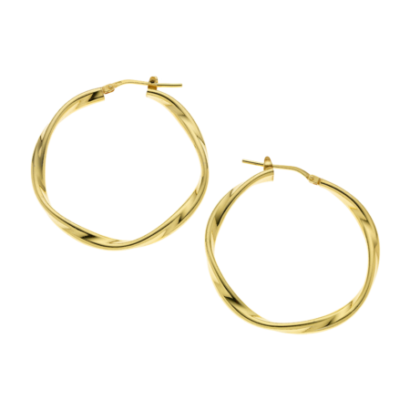 Silver 925 Earrings