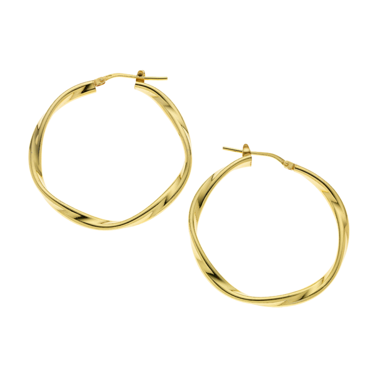 Silver 925 Earrings