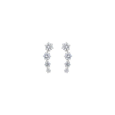 Silver 925 Earrings