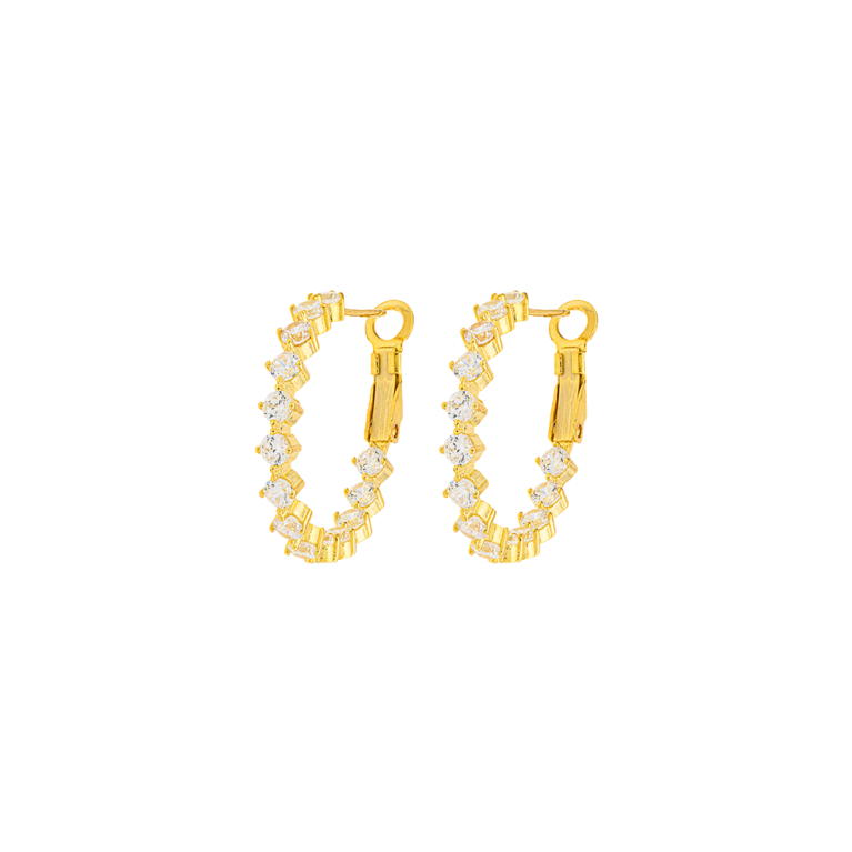 Silver 925 Earrings