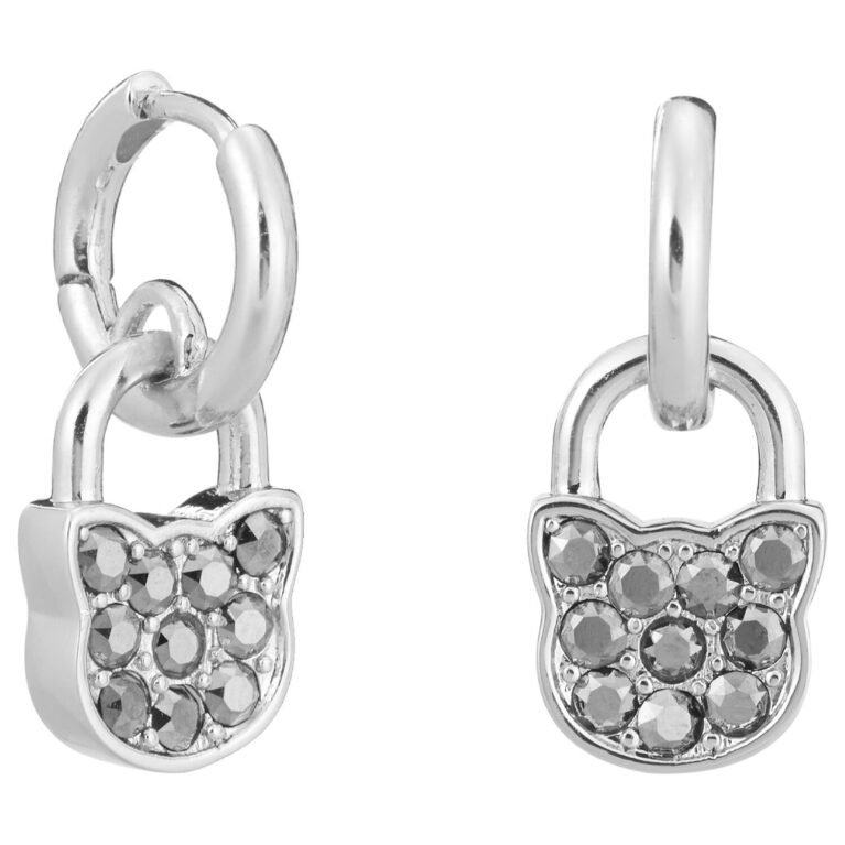 Σκουλαρικια KARL LAGERFELD 5512253